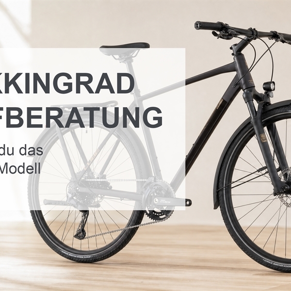 trekkingrad-kaufberatung.jpg