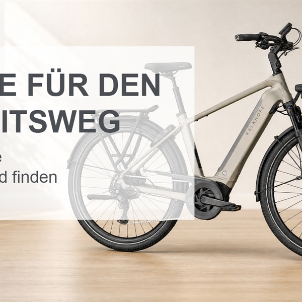 ebikefuer-den-arbeitsweg.jpg